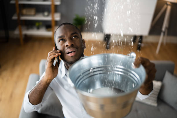 Best Residential water damage restoration  in Cheboygan, MI