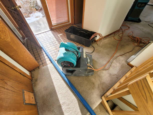 Water damage restoration process in Cheboygan, MI