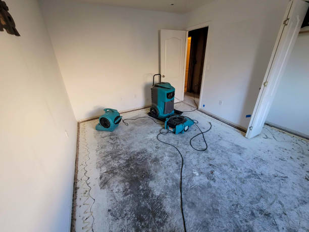 Carpet water damage restoration in Cheboygan, MI