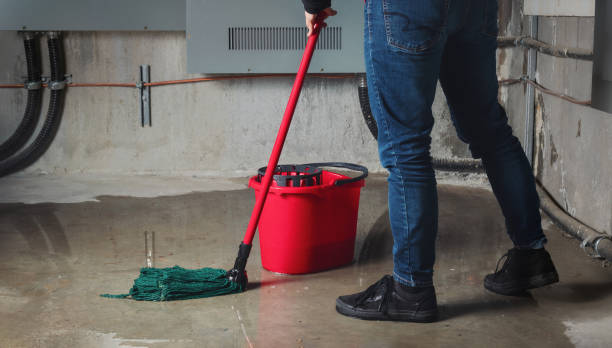 Best Water damage cleanup near me  in Cheboygan, MI