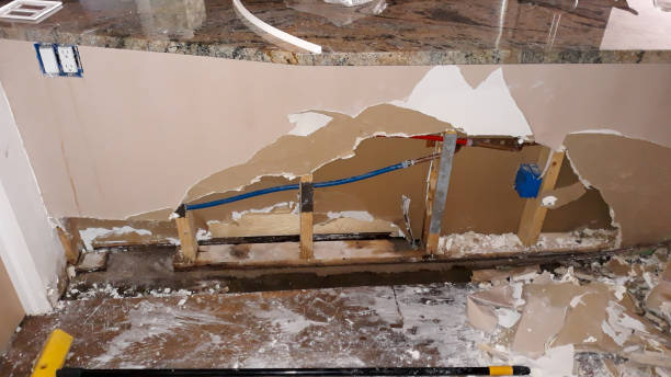 Best Water damage mitigation services  in Cheboygan, MI
