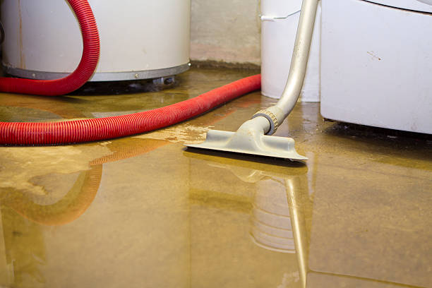 Best 24-hour water damage restoration  in Cheboygan, MI