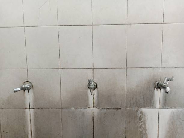 Best Water damage restoration company  in Cheboygan, MI