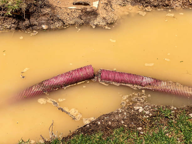 Best Water damage contractors near me  in Cheboygan, MI
