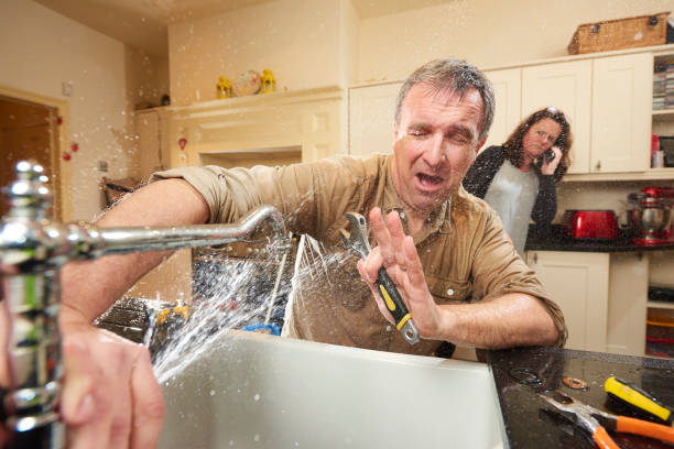 Best Flood damage cleanup  in Cheboygan, MI